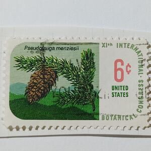 1969 Scott No. 1387 6¢ International Botanical Congress “Pseudotsuga menziesii”